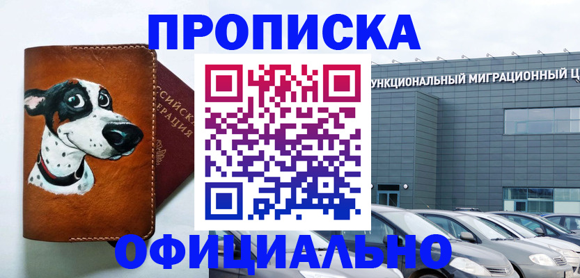 временная прописка в Дмитрове